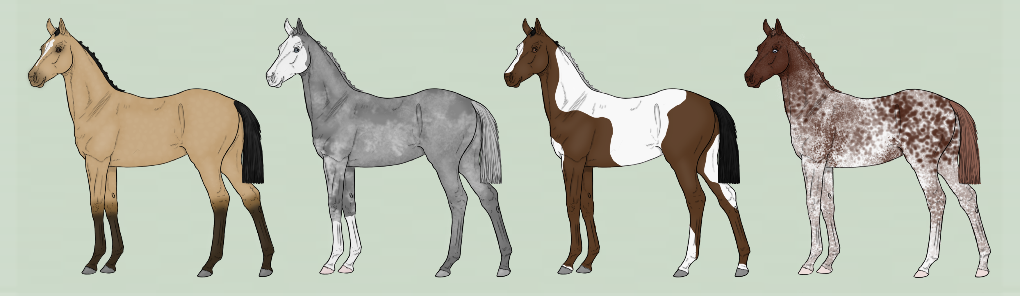 Foal Designs ( 4/4 CLOSED )