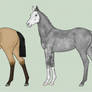 Foal Designs ( 4/4 CLOSED )