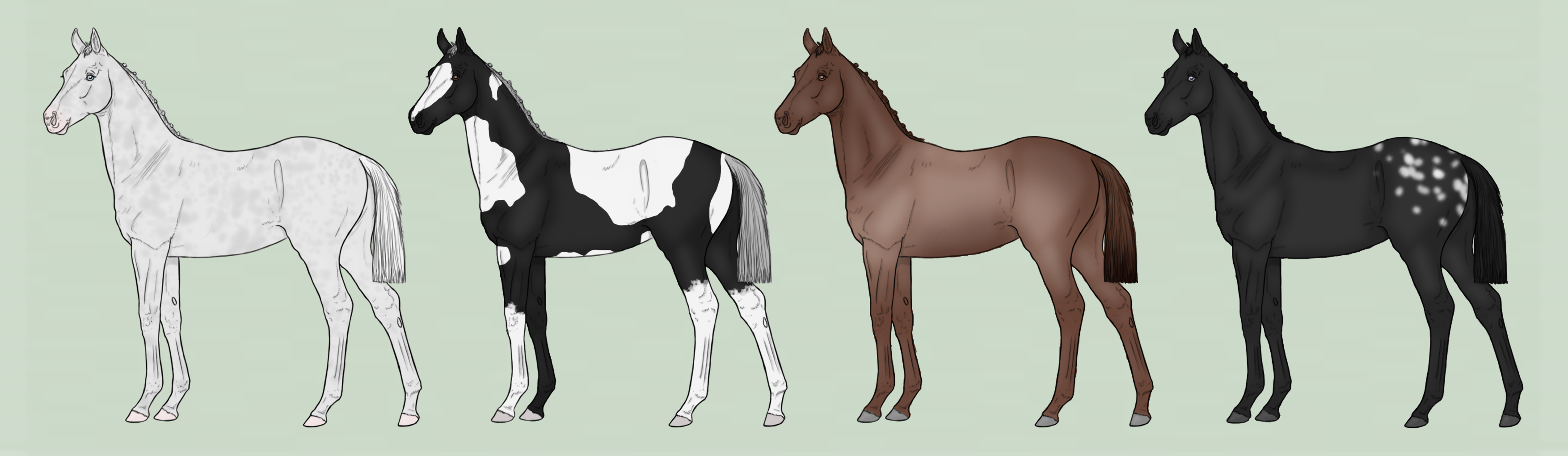 Foal Designs ( 4/4 OPEN )