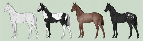 Foal Designs ( 4/4 OPEN )