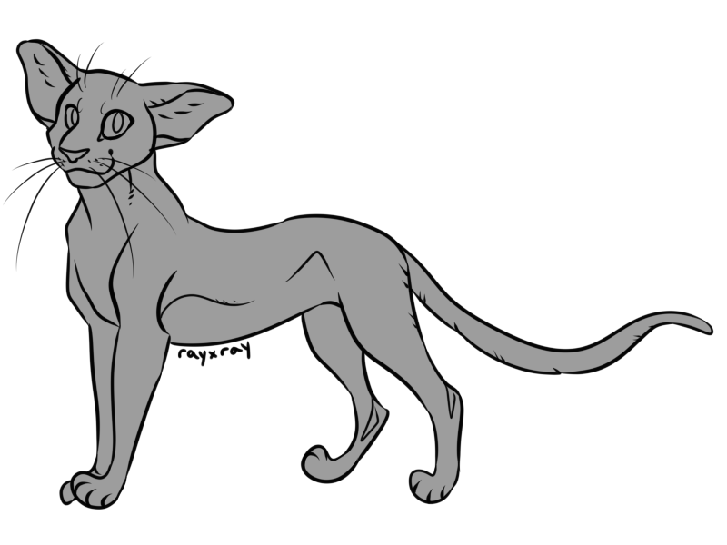F2U Oriental Shorthair Cat Lineart by rayxray on DeviantArt