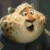 Clawhauser - Icon