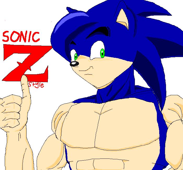 Sonic DBZ Style by sonigoku on DeviantArt