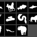 Animal Shapes and pngs without background