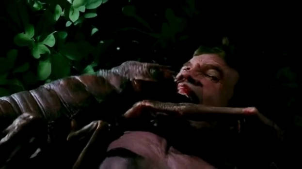 Giant bug attacks a man.
