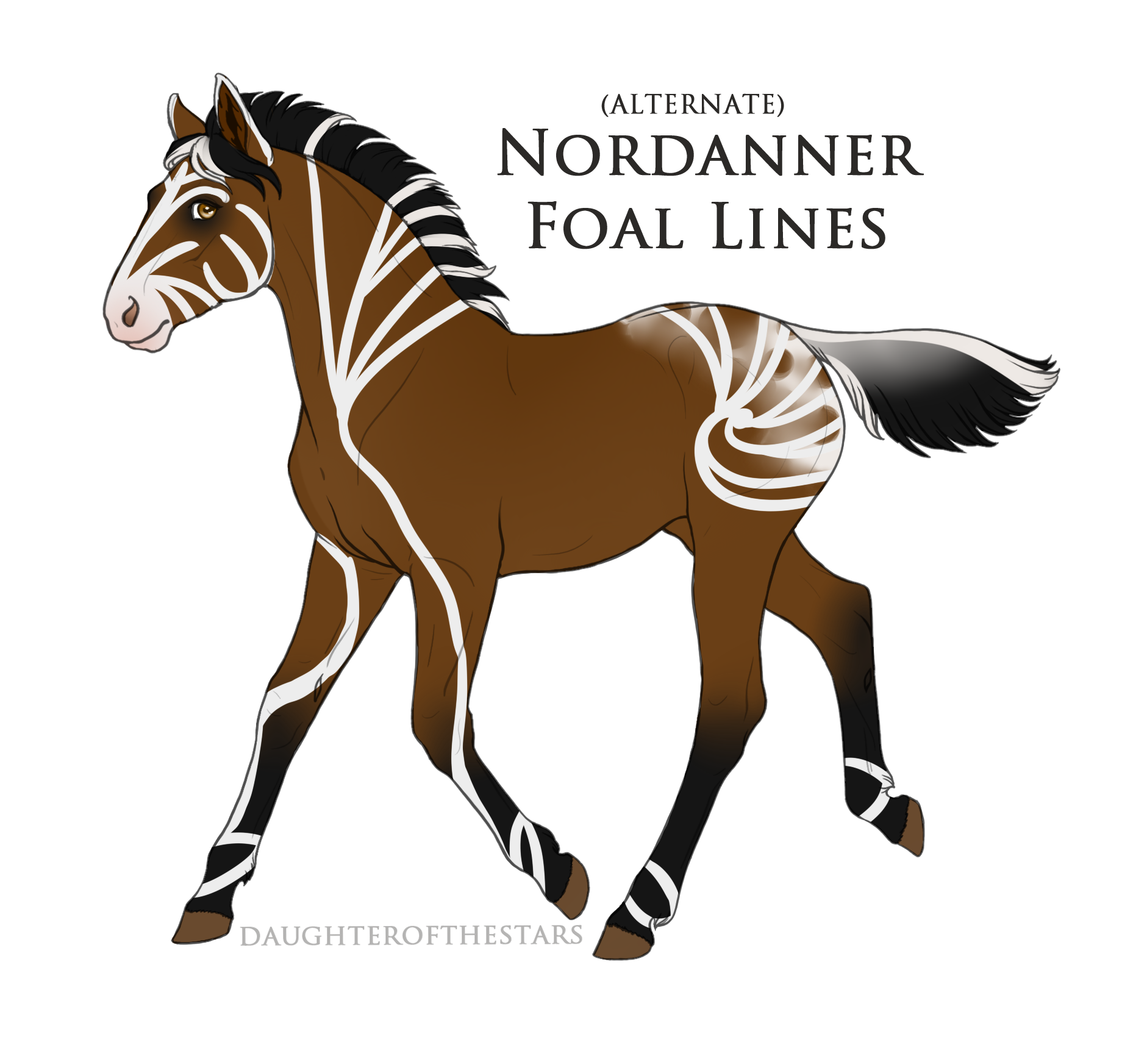 5005 Foal Design