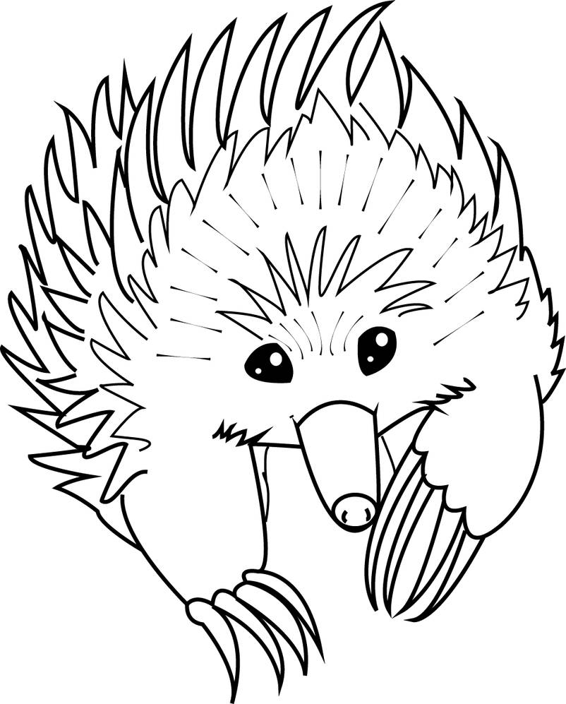 Echidna Lineart by AprilSilverWolf on DeviantArt