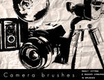 Camera Brushes