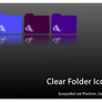 Clear Folder with Florale