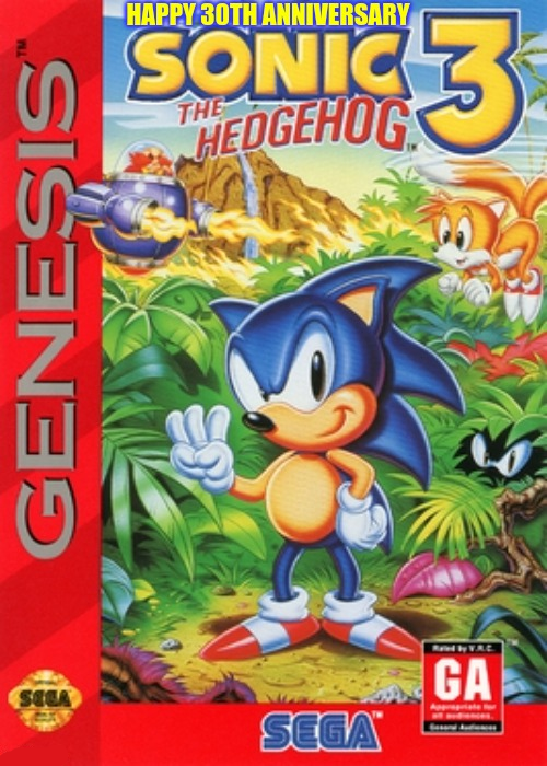 Happy 30th Anniversary Sonic The Hedgehog 3 by NeoTheBat100 on DeviantArt
