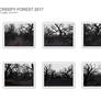 Creepy Forest 2017