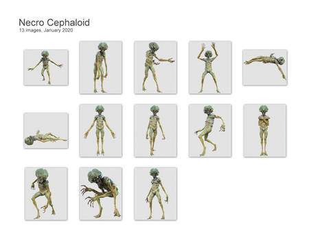 Necro Cephaloid