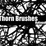 Thorn Brushes