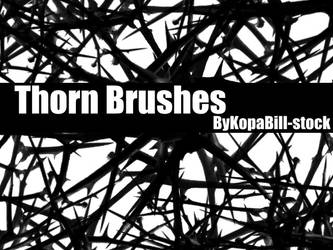 Thorn Brushes by KopaBill-Stock