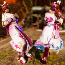 DOA6 Samurai Warriors Kasumi Oichi Mod V1