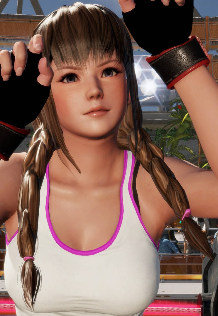 doa6_hitomi_twin_braided_vv_pigtails_low__by_apoprince_df3mb65-pre.jpg