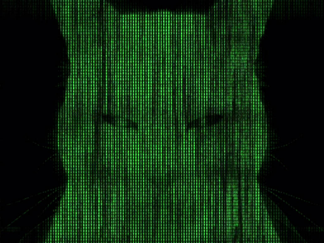 The cat in the Matrix by TechnicalFlair on DeviantArt
