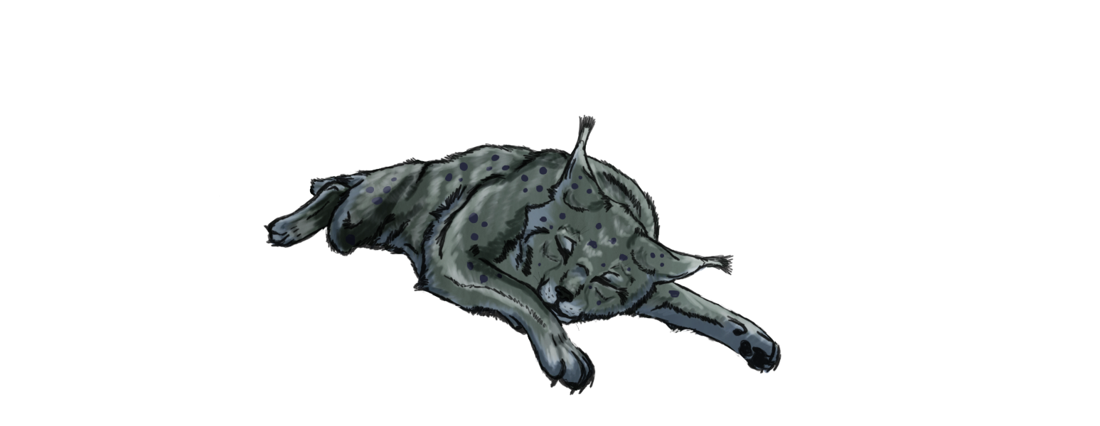 Rys. Sketch by Worldshade on DeviantArt