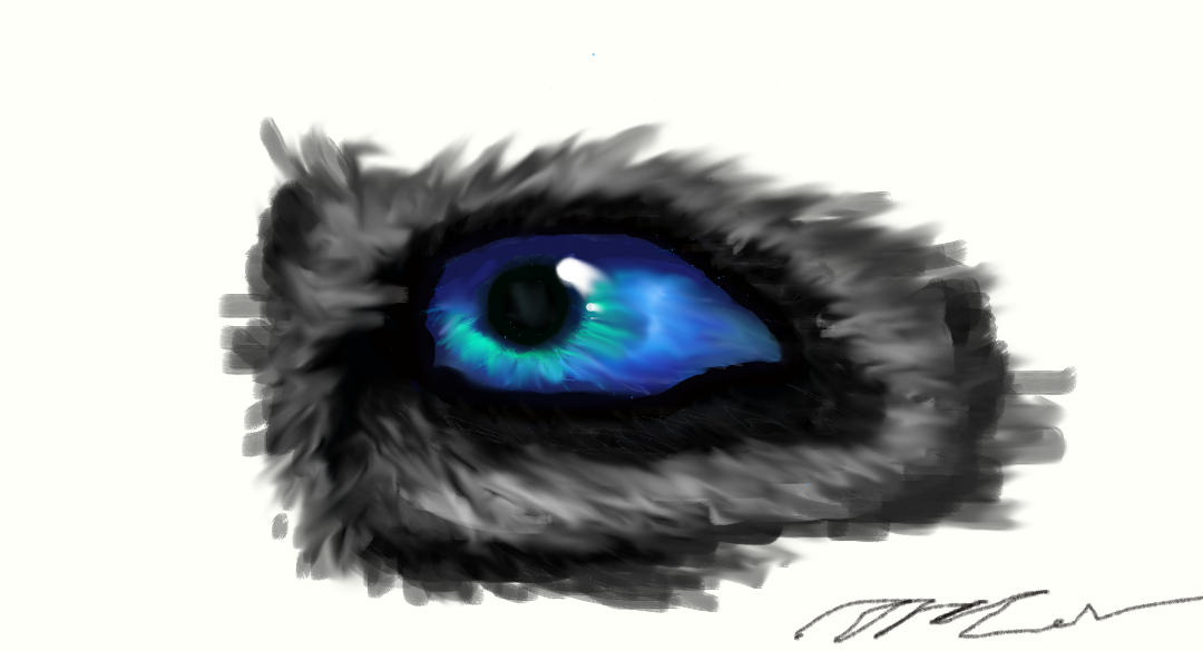 Wolf eye.