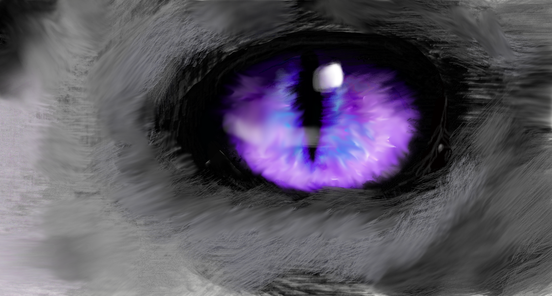 The eye of the Pursuer.