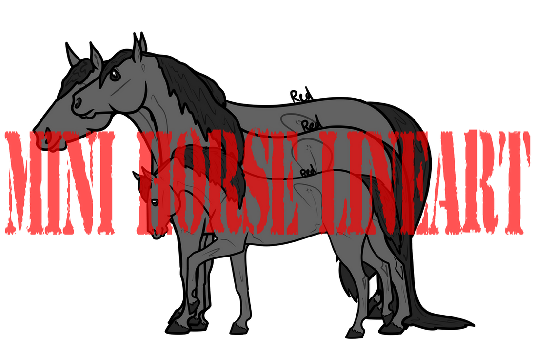 Miniature Horse Lineart PACK by ReddWater on DeviantArt