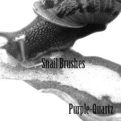 Snail Brushes