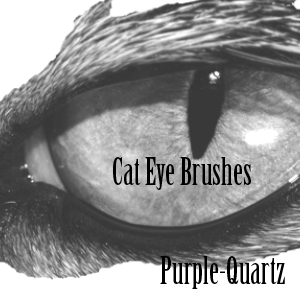 Cat Eye Brushes