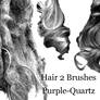 Hair 2 Brushes