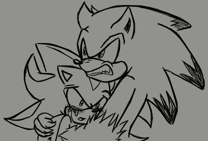 Sonadow Werehog Night.