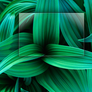 Windows Glass v.1