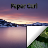 Paper Curl