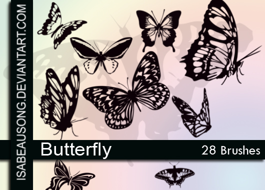 Butterfly'