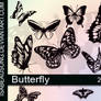 Butterfly'
