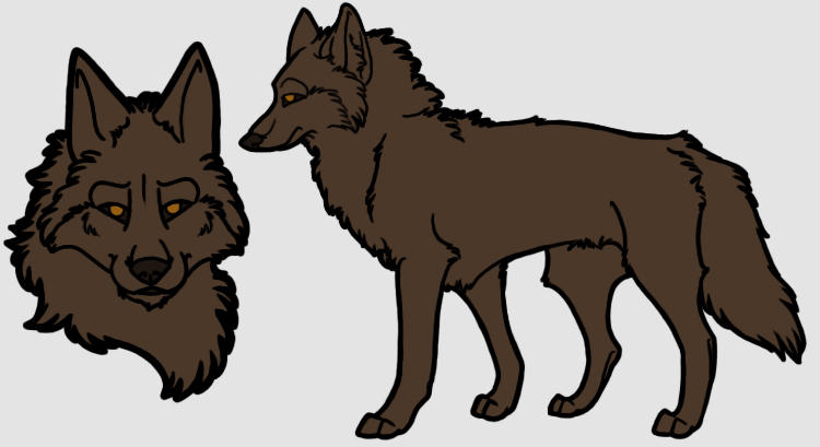 Lineart Coyote Reference Photoshop PSD Template by forumroleplay on ...