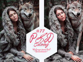 PSD Coloring #77 by Brill, Brillammente