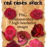 Red Roses Stock