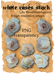 White Roses Stock by BloodMoonEquinox