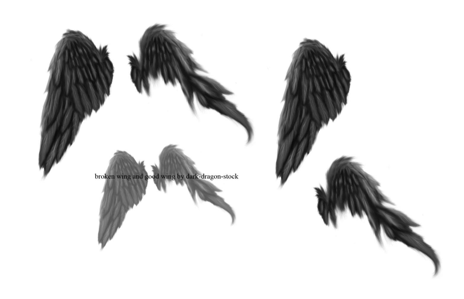 broken wings brushes