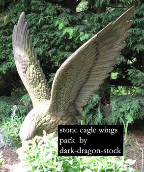 stone eagle wings stock pack