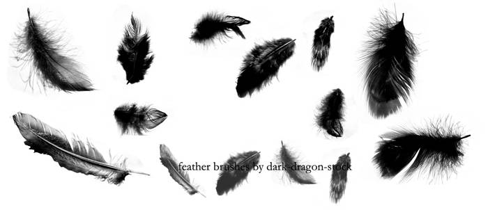 feather brushes