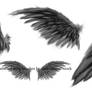 feathered wing brushes