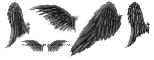 feathered wing brushes