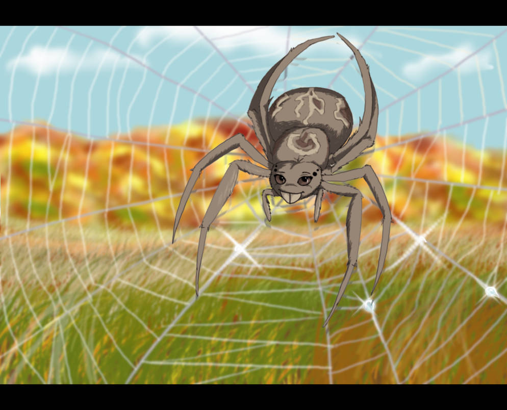 Spider by Anayroz on DeviantArt