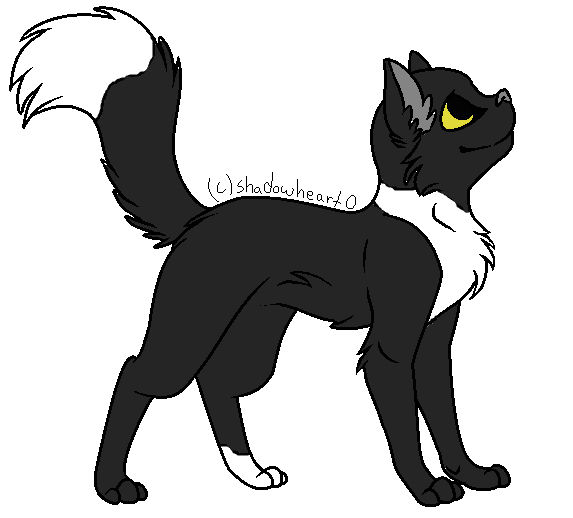 Ravenkit by Canarycloud407 on DeviantArt