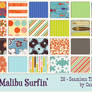 Malibu Surfin'