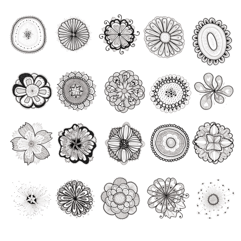 Sushibird.com - 20hrs 20flwrs