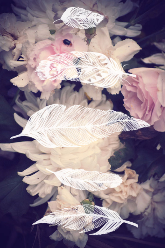 sushibird.com - hipster feathers by sushibird