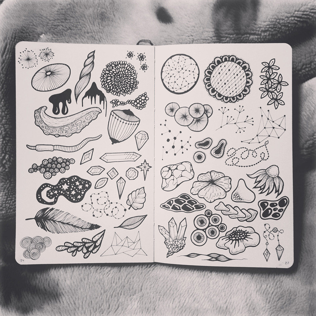 sushibird.com - sketches - 51 brushes by sushibird