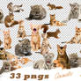 Animal Png Pack