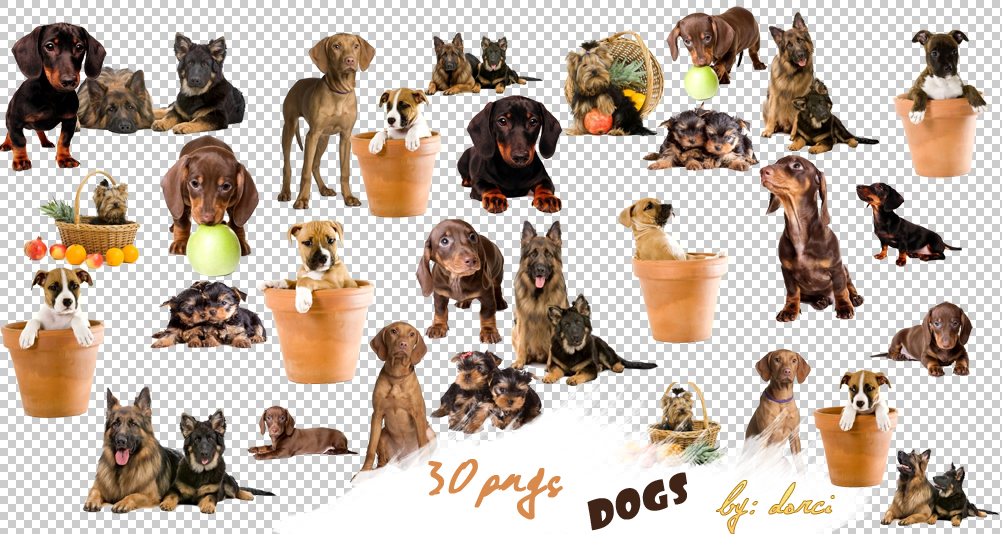 Dog Png Pack
